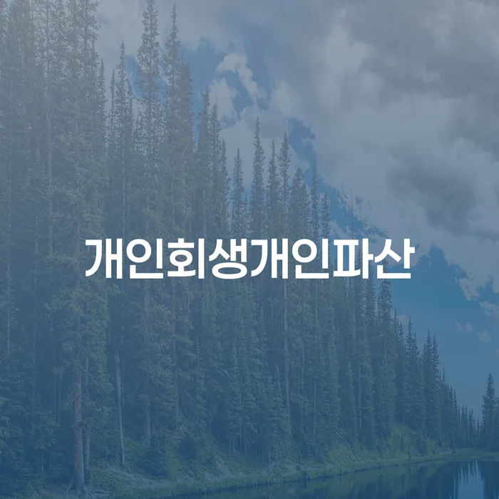 신용대출 연체 개인회생으로 해결방법 자세하게 알아보자