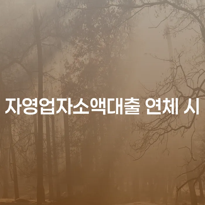 저금리대출 연체 시 개인회생 문제해결방법 진행방안