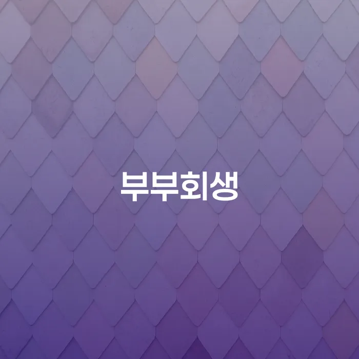 개인회생 개인회생 문제해결방법 하여야 하는 일