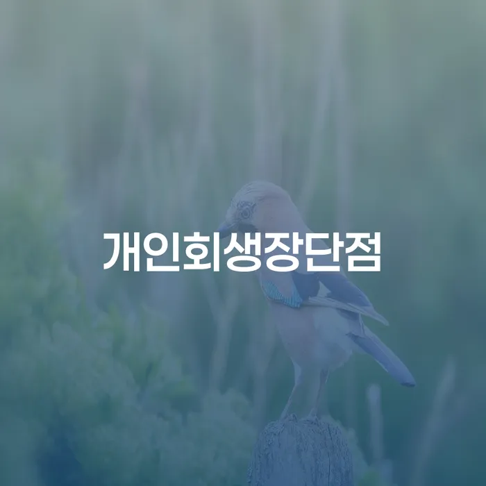 개인파산진술서 빚 합법적인 빠른방법 정해지는