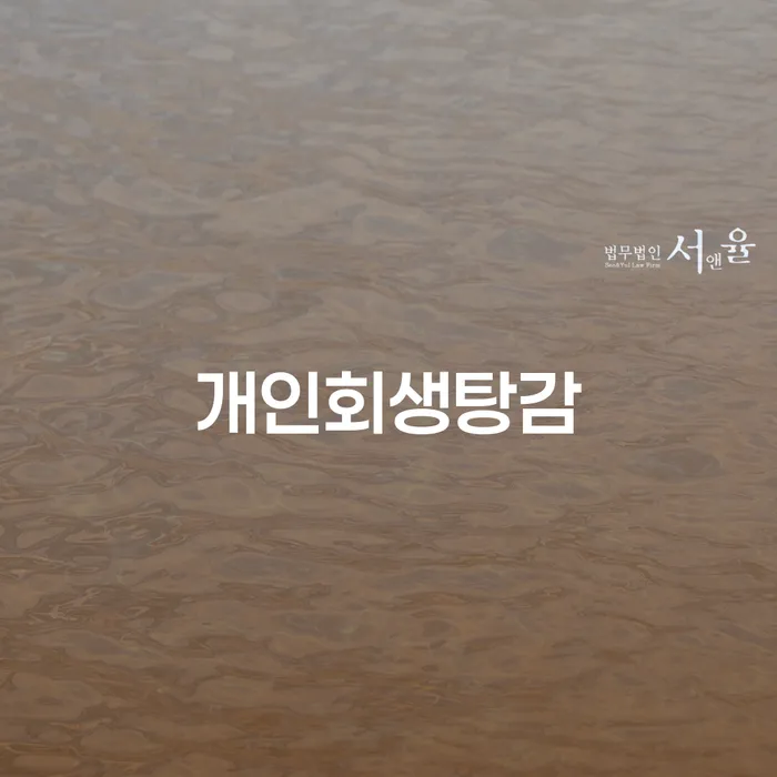 성북구 신불자 대출 연체 개인회생 잘 하는 사무소