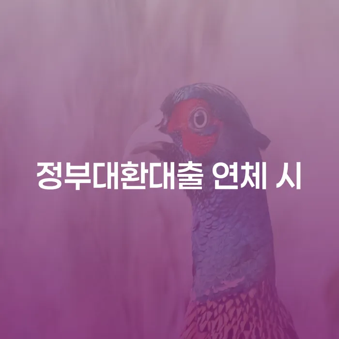 고성군 개인회생과파산차이 추심 대응법 장점을