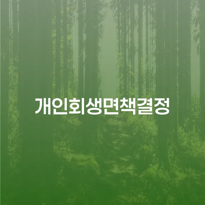 성주군 개인회생전문 개인회생,개인파산으로 경험 많은 곳에서
