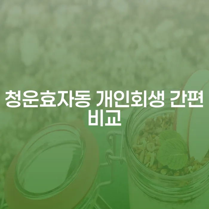 청운효자동 개인회생 간편비교