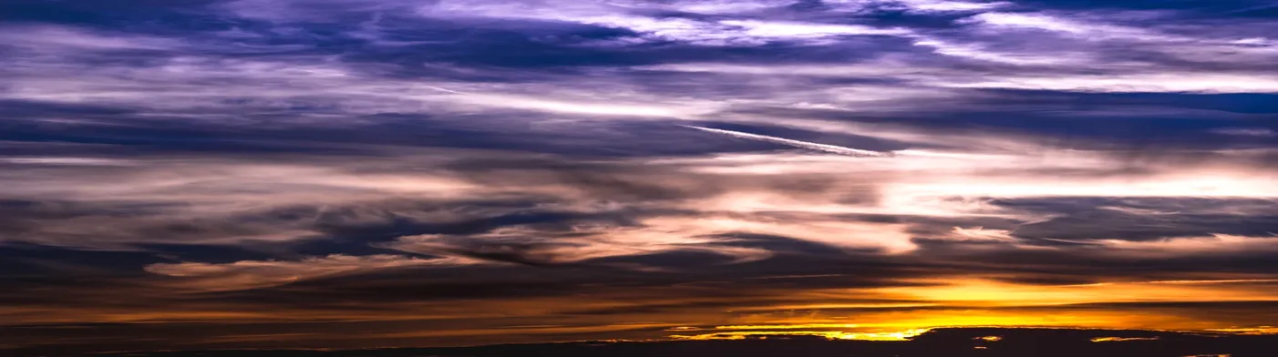 법무법인 서앤율