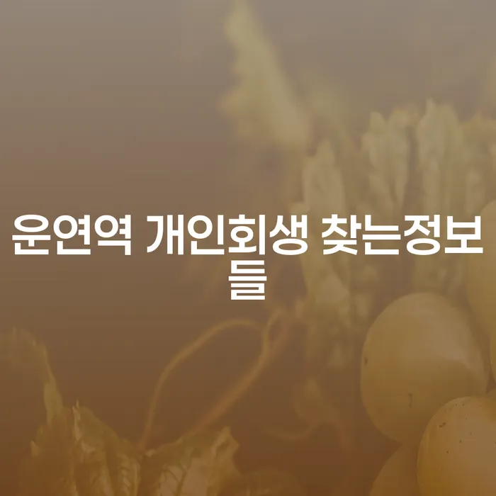 운연역 개인회생 찾는정보들