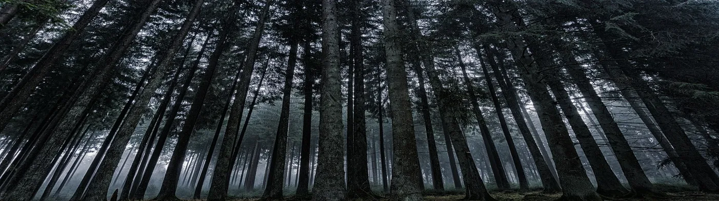 법무법인 서앤율