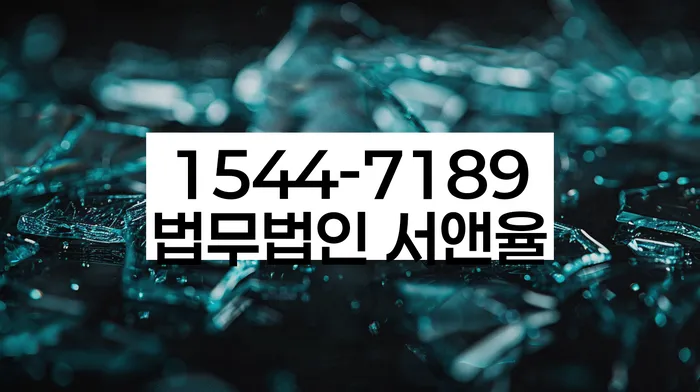 개인회생 소득 대비 채무 조정 가능성