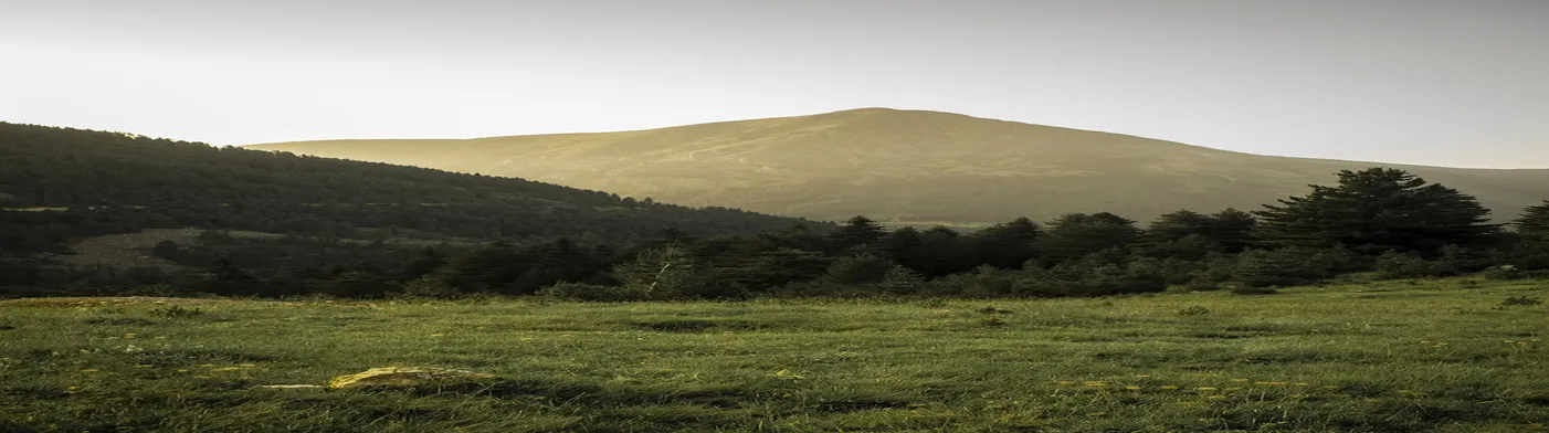 법무법인 서앤율