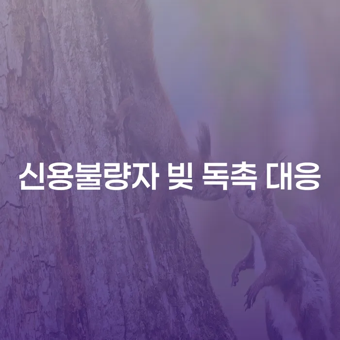 신용불량자 빚 독촉에 어떻게 대응해야 할까요?