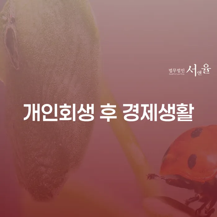 개인회생 후 경제생활, 어떻게 달라질까?