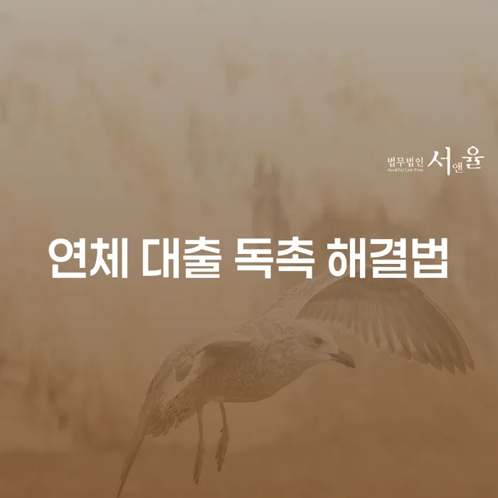 연체 대출 독촉 해결법, 어떻게 시작해야 할까요?