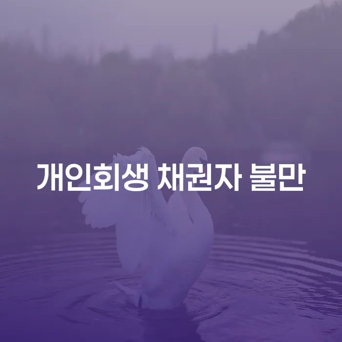 개인회생 채권자 불만: 왜 채권자들은 불만을 가질까?