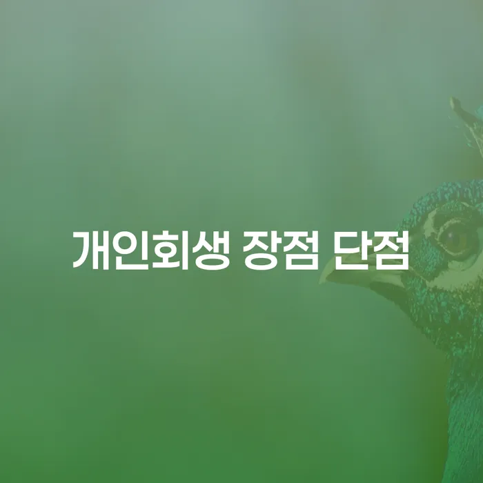 월계3동 개인회생 장점과 단점