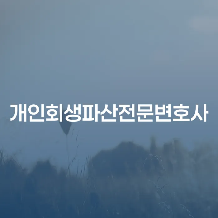 개인회생과 개인파산의 이해와 실제 사례