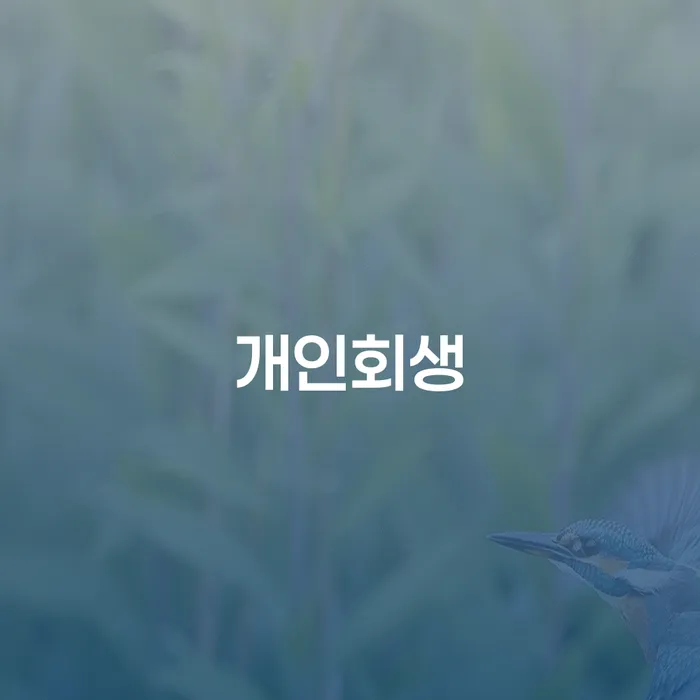 충주시 개인회생 절차 이해하기