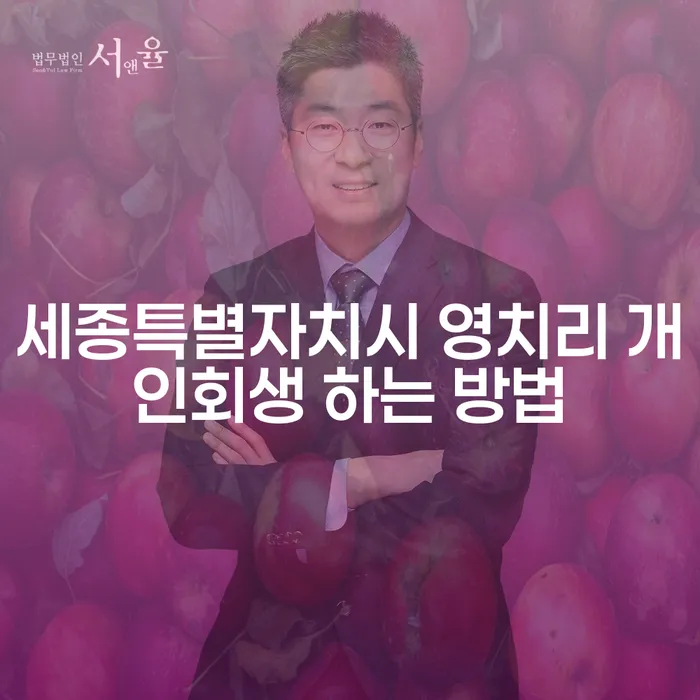 세종특별자치시 영치리 개인회생, 어떻게 시작해야 할까요?