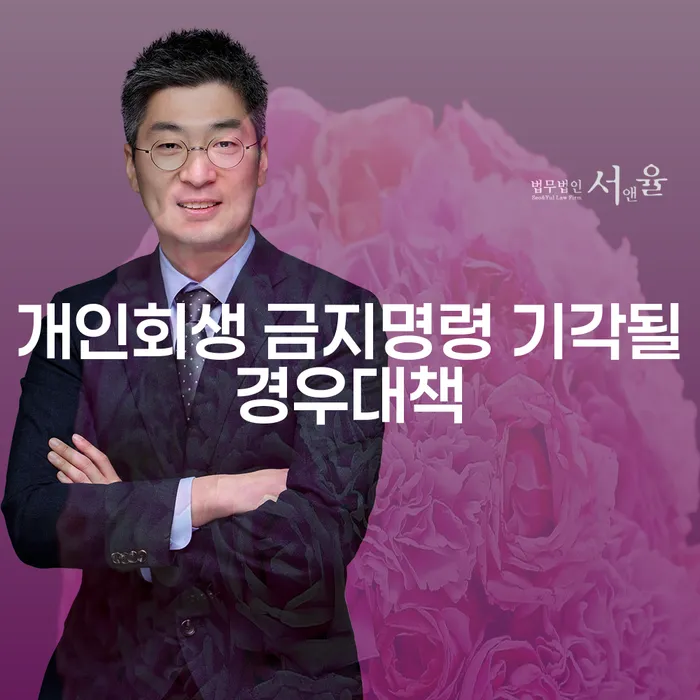 개인회생 금지명령이 기각될 경우, 어떤 대책을 세울 수 있을까요?